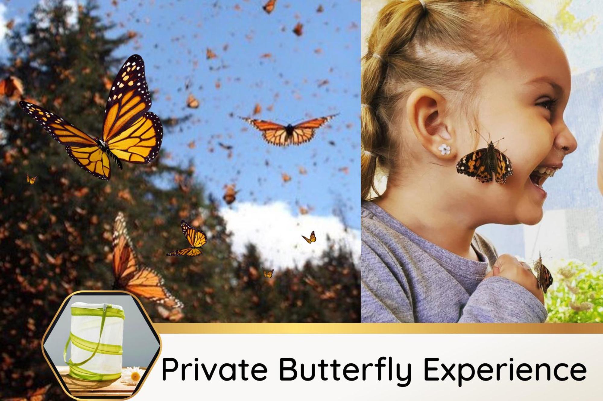 Butterfly Themed Kings Apartment With Private Garage & Access To Lux Hot Tub, Bbq & Gym Южен Джордан Екстериор снимка